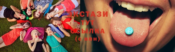 мдпв Бородино
