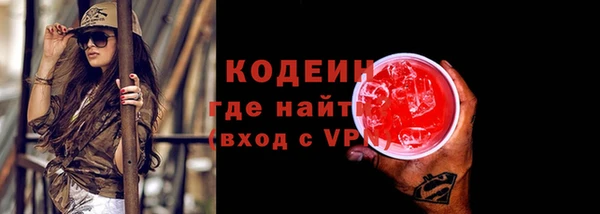 мдпв Бородино