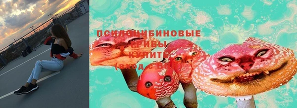 2c-b Бронницы