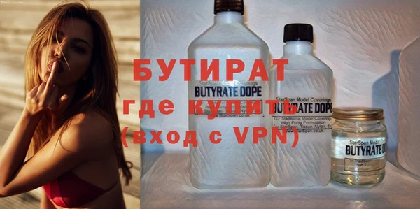 мдпв Бородино