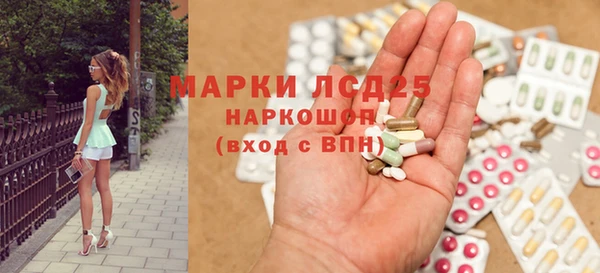 мдпв Бородино