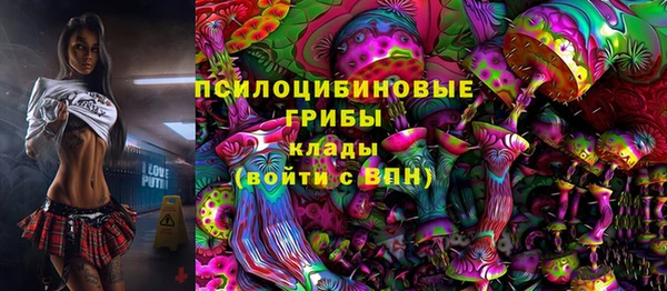 дживик Бугульма